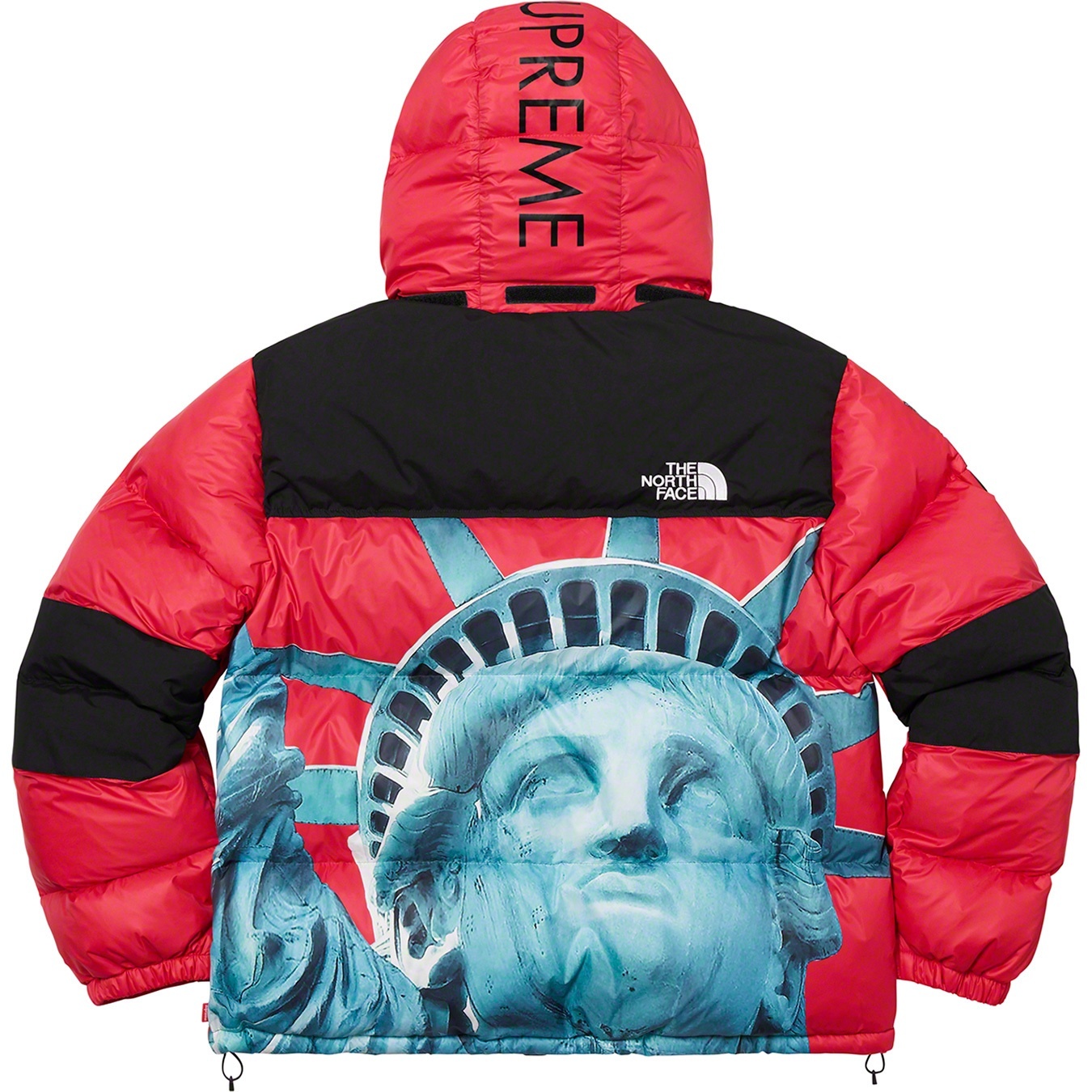 Supreme®/The North Face® Statue of Liberty Baltoro Jacket view 9
